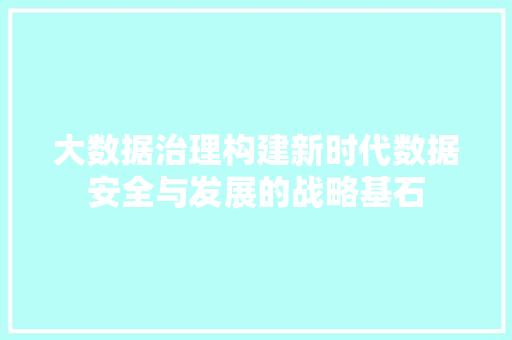 大数据治理构建新时代数据安全与发展的战略基石