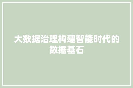 大数据治理构建智能时代的数据基石