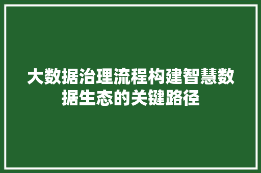 大数据治理流程构建智慧数据生态的关键路径