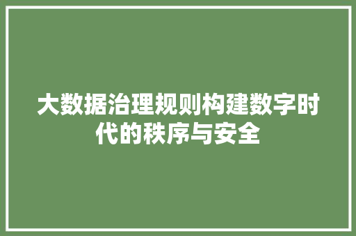 大数据治理规则构建数字时代的秩序与安全  第1张