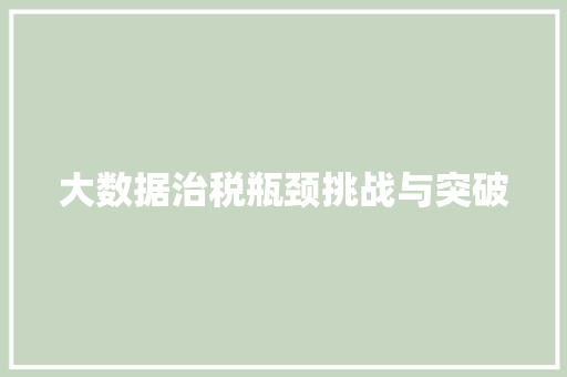 大数据治税瓶颈挑战与突破  第1张