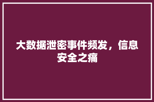 大数据泄密事件频发，信息安全之痛  第1张