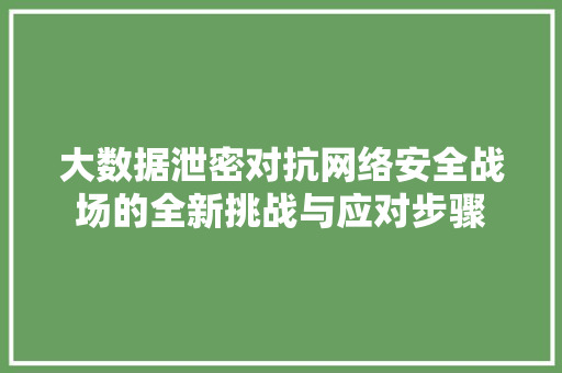 大数据泄密对抗网络安全战场的全新挑战与应对步骤  第1张