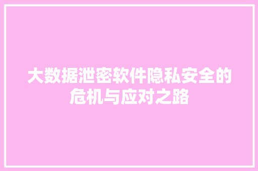 大数据泄密软件隐私安全的危机与应对之路  第1张