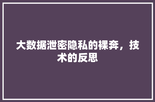 大数据泄密隐私的裸奔，技术的反思  第1张