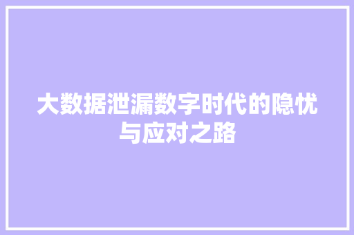大数据泄漏数字时代的隐忧与应对之路  第1张
