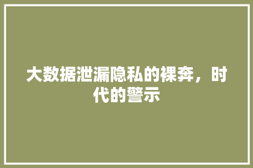 大数据泄漏隐私的裸奔，时代的警示