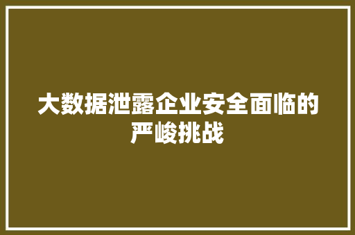 大数据泄露企业安全面临的严峻挑战  第1张