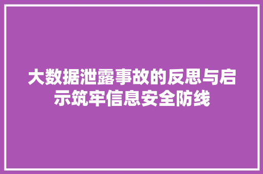大数据泄露事故的反思与启示筑牢信息安全防线