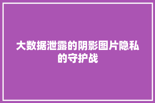 大数据泄露的阴影图片隐私的守护战  第1张