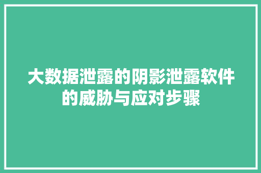 大数据泄露的阴影泄露软件的威胁与应对步骤  第1张