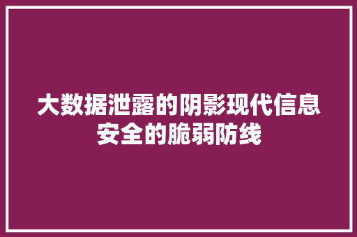 大数据泄露的阴影现代信息安全的脆弱防线  第1张