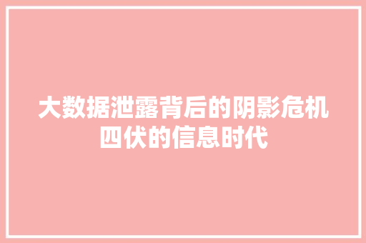 大数据泄露背后的阴影危机四伏的信息时代  第1张