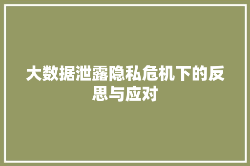 大数据泄露隐私危机下的反思与应对  第1张