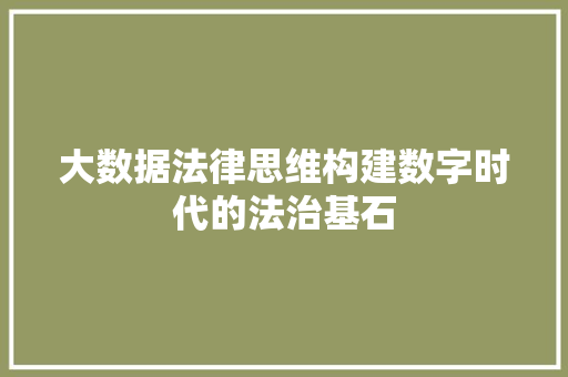 大数据法律思维构建数字时代的法治基石  第1张