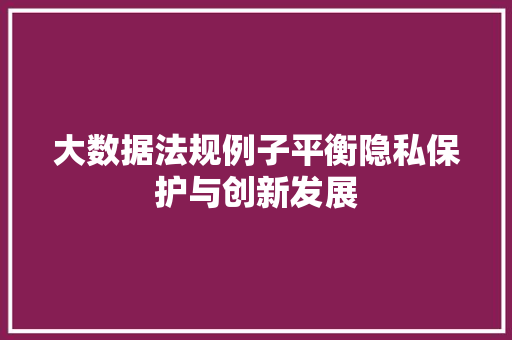 大数据法规例子平衡隐私保护与创新发展  第1张