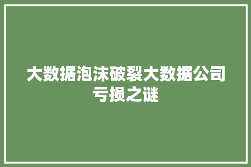 大数据泡沫破裂大数据公司亏损之谜  第1张