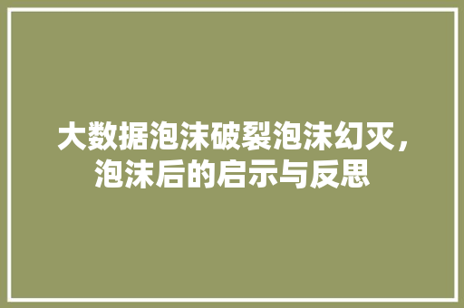 大数据泡沫破裂泡沫幻灭，泡沫后的启示与反思  第1张