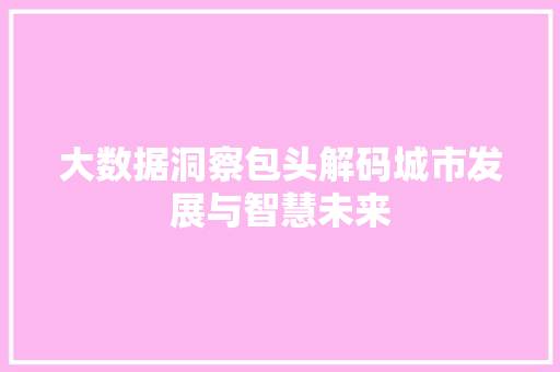 大数据洞察包头解码城市发展与智慧未来
