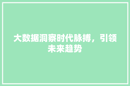 大数据洞察时代脉搏，引领未来趋势  第1张