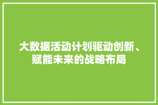 大数据活动计划驱动创新、赋能未来的战略布局  第1张