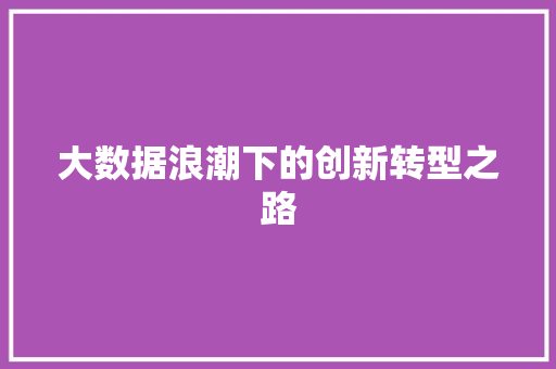 大数据浪潮下的创新转型之路  第1张