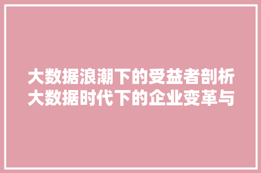 大数据浪潮下的受益者剖析大数据时代下的企业变革与机遇  第1张