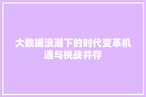 大数据浪潮下的时代变革机遇与挑战并存  第1张