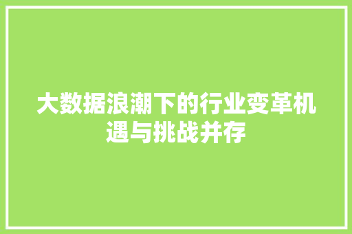 大数据浪潮下的行业变革机遇与挑战并存  第1张