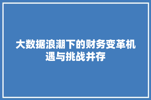 大数据浪潮下的财务变革机遇与挑战并存  第1张