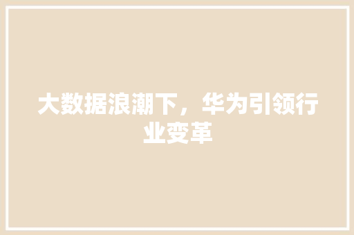 大数据浪潮下，华为引领行业变革  第1张