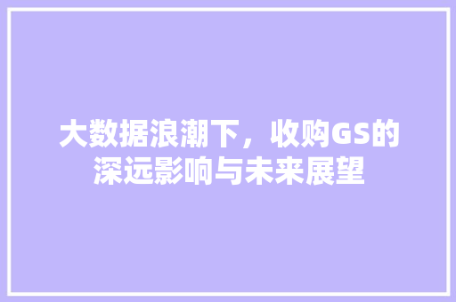 大数据浪潮下，收购GS的深远影响与未来展望  第1张