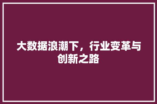 大数据浪潮下，行业变革与创新之路  第1张