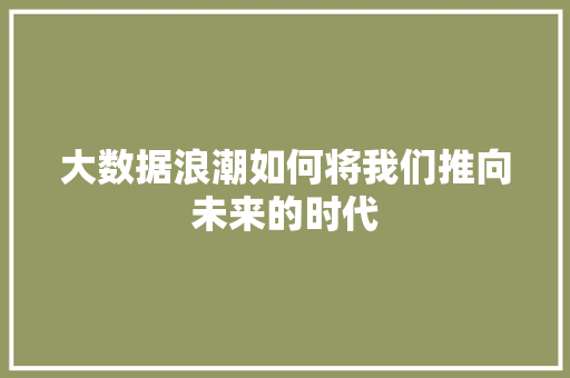 大数据浪潮如何将我们推向未来的时代  第1张