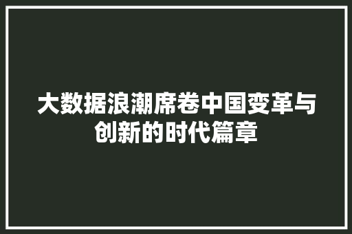 大数据浪潮席卷中国变革与创新的时代篇章  第1张