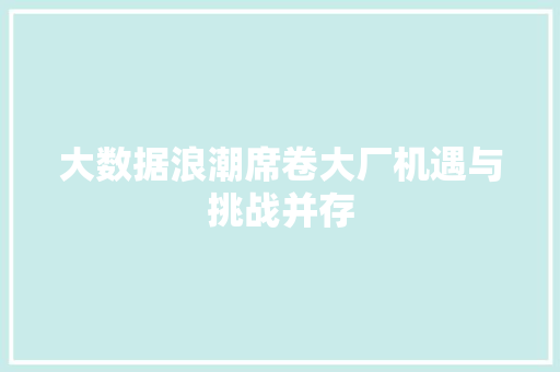 大数据浪潮席卷大厂机遇与挑战并存