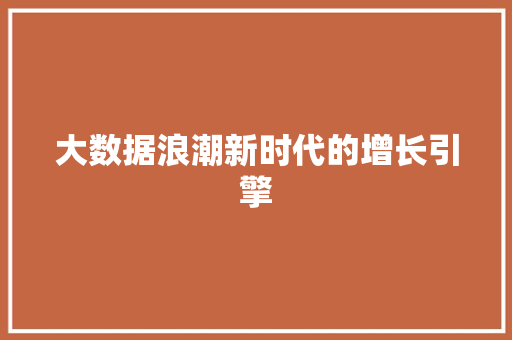大数据浪潮新时代的增长引擎  第1张