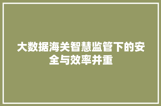 大数据海关智慧监管下的安全与效率并重  第1张