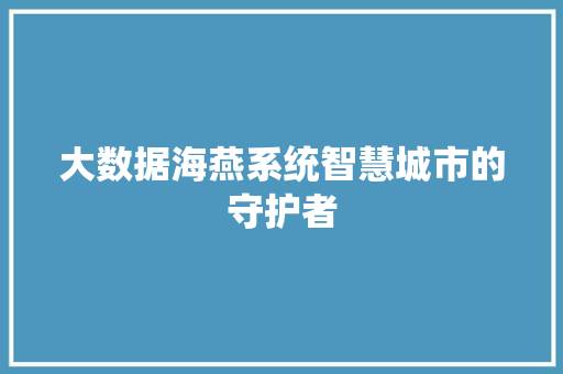 大数据海燕系统智慧城市的守护者