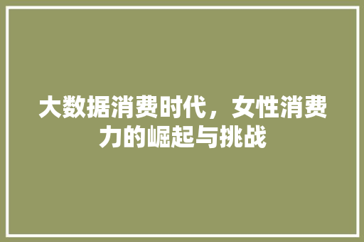 大数据消费时代，女性消费力的崛起与挑战  第1张