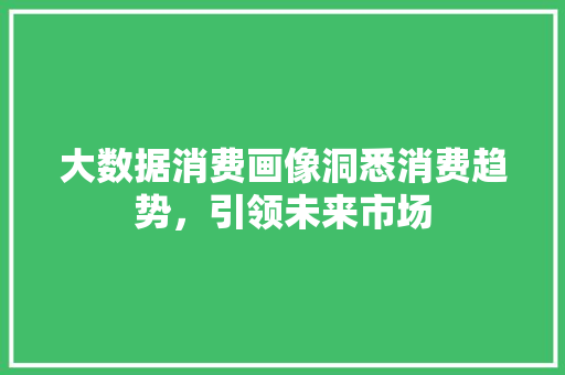 大数据消费画像洞悉消费趋势，引领未来市场  第1张