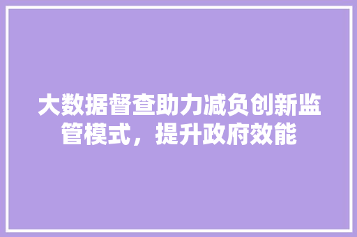 大数据督查助力减负创新监管模式，提升政府效能