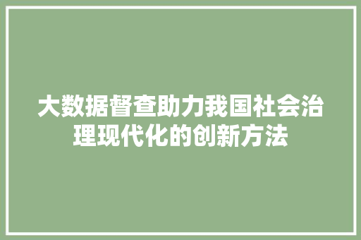大数据督查助力我国社会治理现代化的创新方法