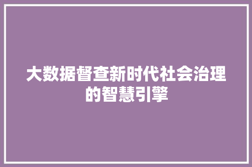 大数据督查新时代社会治理的智慧引擎