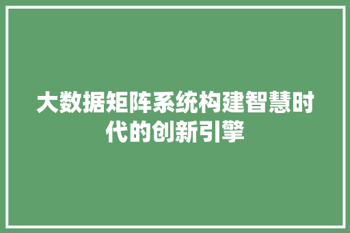 大数据矩阵系统构建智慧时代的创新引擎