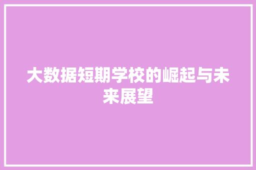 大数据短期学校的崛起与未来展望