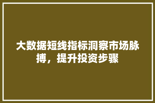 大数据短线指标洞察市场脉搏，提升投资步骤