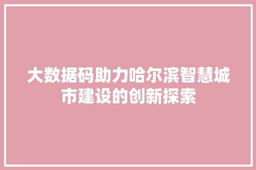 大数据码助力哈尔滨智慧城市建设的创新探索