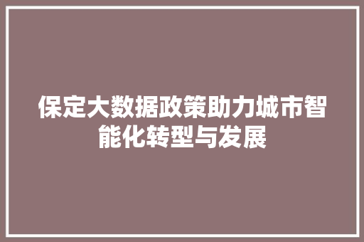 保定大数据政策助力城市智能化转型与发展