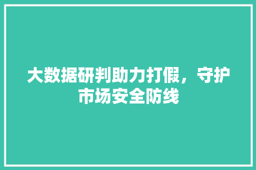 大数据研判助力打假，守护市场安全防线  第1张